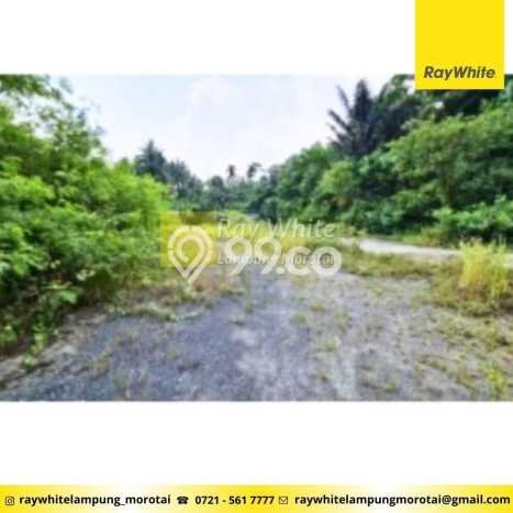 Unit Pabrik Strategis di Katibung, Lampung Selatan Potensi Bisnis Besar Unit Pabrik Strategis di Katibung, Lampung Selatan Potensi Bisnis Besar