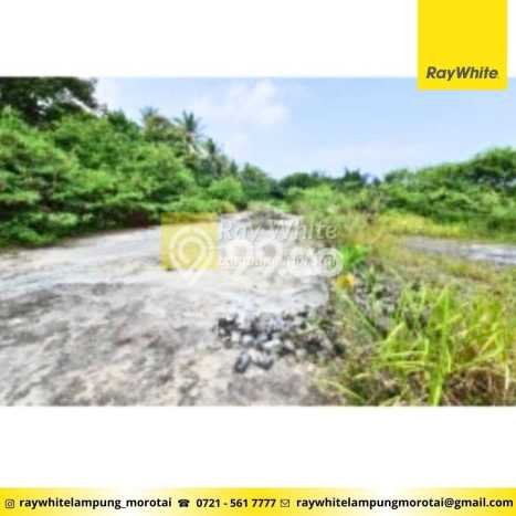 Unit Pabrik Strategis di Katibung, Lampung Selatan Potensi Bisnis Besar Unit Pabrik Strategis di Katibung, Lampung Selatan Potensi Bisnis Besar