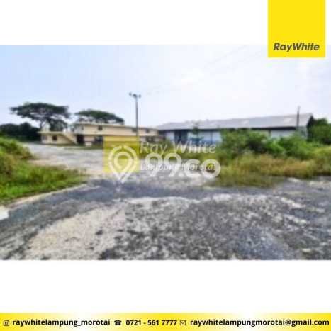 Unit Pabrik Strategis di Katibung, Lampung Selatan Potensi Bisnis Besar Unit Pabrik Strategis di Katibung, Lampung Selatan Potensi Bisnis Besar