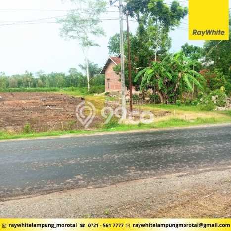 Jual Tanah Area Berkembang di Negeri Katon, Luas 19131m2m², Dekat Negeri Katon, Pesawaran, Pesawaran Jual Tanah Area Berkembang di Negeri Katon, Luas 19131m2m², Dekat Negeri Katon, Pesawaran, Pesawaran