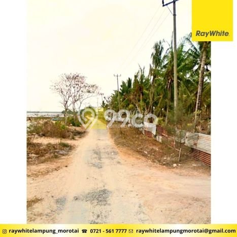 FOR SALE! Pabrik di Kalianda Lampung Selatan, LT 116040m2, LB 0m2 FOR SALE! Pabrik di Kalianda Lampung Selatan, LT 116040m2, LB 0m2