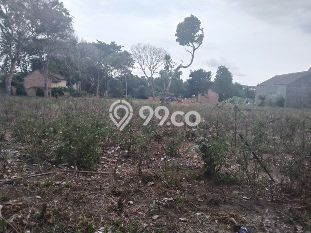 Jarang Ada! Tanah di Tanjung Bintang Punya Luas 4175m2 SHM Jarang Ada! Tanah di Tanjung Bintang Punya Luas 4175m2 SHM