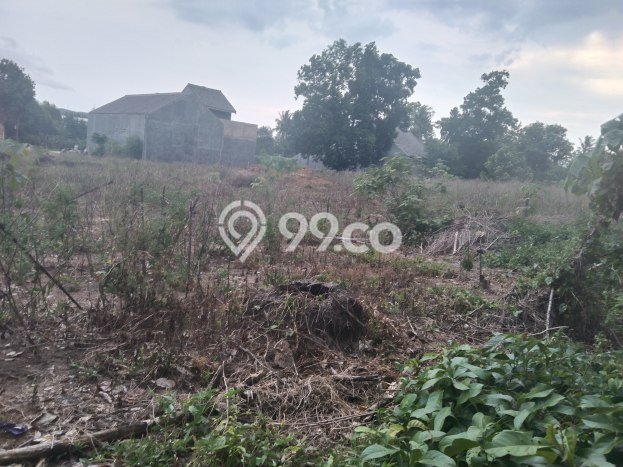 Jarang Ada! Tanah di Tanjung Bintang Punya Luas 4175m2 SHM Jarang Ada! Tanah di Tanjung Bintang Punya Luas 4175m2 SHM