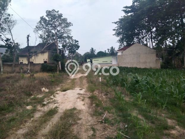 Jarang Ada! Tanah di Tanjung Bintang Punya Luas 4175m2 SHM Jarang Ada! Tanah di Tanjung Bintang Punya Luas 4175m2 SHM