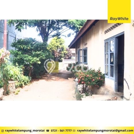 Siap Huni Hunian Elit 5 Kamar di Kedaton Dekat ke Mana Saja Siap Huni Hunian Elit 5 Kamar di Kedaton Dekat ke Mana Saja