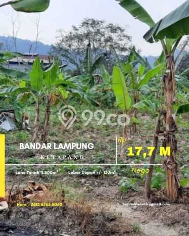 Tanah Dijual Lokasi Panjang Bandar Lampung SHM Tanah Dijual Lokasi Panjang Bandar Lampung SHM