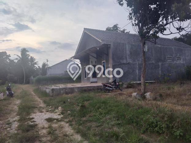 Jarang Ada! Tanah di Tanjung Bintang Punya Luas 4175m2 SHM Jarang Ada! Tanah di Tanjung Bintang Punya Luas 4175m2 SHM