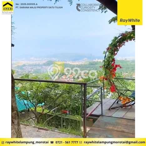 Dijual Tanah di Tanjung Karang Barat, Luas 9169m2m², Lokasi Strategis, Kontur Rata Dijual Tanah di Tanjung Karang Barat, Luas 9169m2m², Lokasi Strategis, Kontur Rata