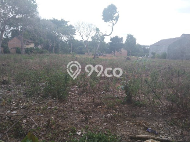 Jarang Ada! Tanah di Tanjung Bintang Punya Luas 4175m2 SHM Jarang Ada! Tanah di Tanjung Bintang Punya Luas 4175m2 SHM