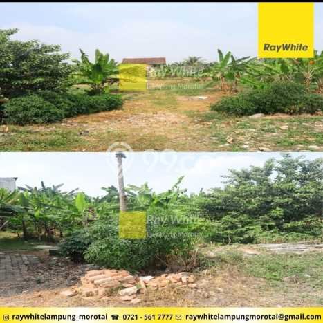 Lahan Dijual Lokasi Tanjung Karang Timur, Bandar Lampung dengan Luas Tanah 1m2 dan Status SHM Lahan Dijual Lokasi Tanjung Karang Timur, Bandar Lampung dengan Luas Tanah 1m2 dan Status SHM