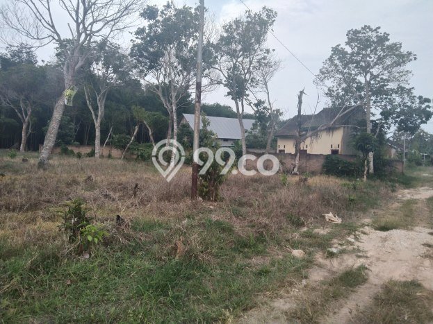 Jarang Ada! Tanah di Tanjung Bintang Punya Luas 4175m2 SHM Jarang Ada! Tanah di Tanjung Bintang Punya Luas 4175m2 SHM