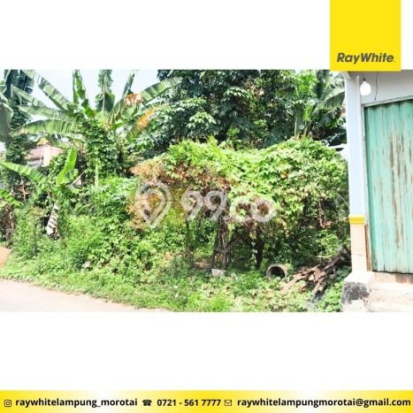 Tanah Lokasi Strategis Kawasan Natar, Luas 395m², Akses ke Pusat Kota, Dekat Natar, Lampung Selatan, Lampung Selatan Tanah Lokasi Strategis Kawasan Natar, Luas 395m², Akses ke Pusat Kota, Dekat Natar, Lampung Selatan, Lampung Selatan