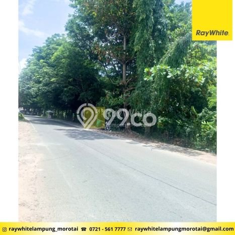 Tanah Kavling Dijual di Bandar Lampung dengan Spesifikasi 3395m2 Tanah Kavling Dijual di Bandar Lampung dengan Spesifikasi 3395m2