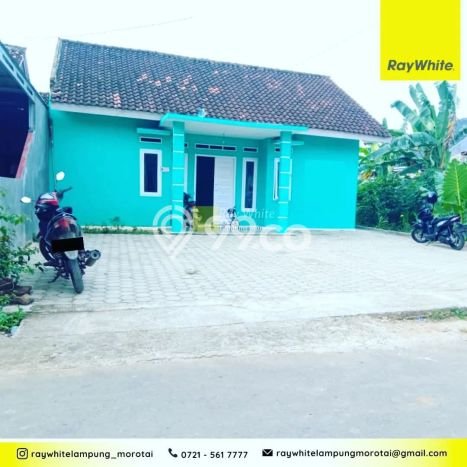 Rumah Murah Dijual di Tanjung Senang, Bandar Lampung Harga Rp 350 Juta Rumah Murah Dijual di Tanjung Senang, Bandar Lampung Harga Rp 350 Juta