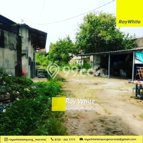 Tanah Dijual Lokasi Tanjung Karang Timur, Bandar Lampung Luas 2433m2 Legalitas Aman Tanah Dijual Lokasi Tanjung Karang Timur, Bandar Lampung Luas 2433m2 Legalitas Aman