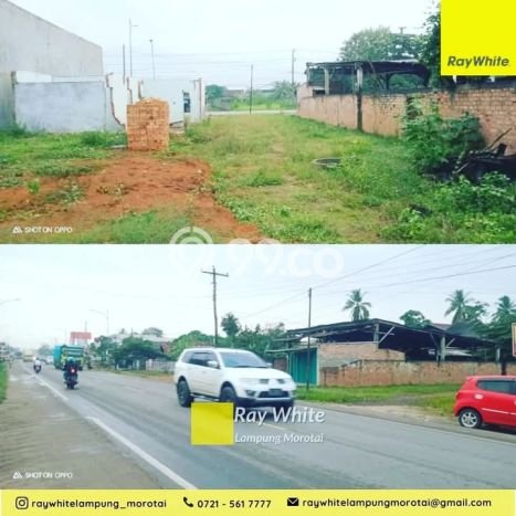 Tanah Kawasan Gunung Sugih, Luas 1989m2m², Akses Strategis, Area Berkembang Tanah Kawasan Gunung Sugih, Luas 1989m2m², Akses Strategis, Area Berkembang