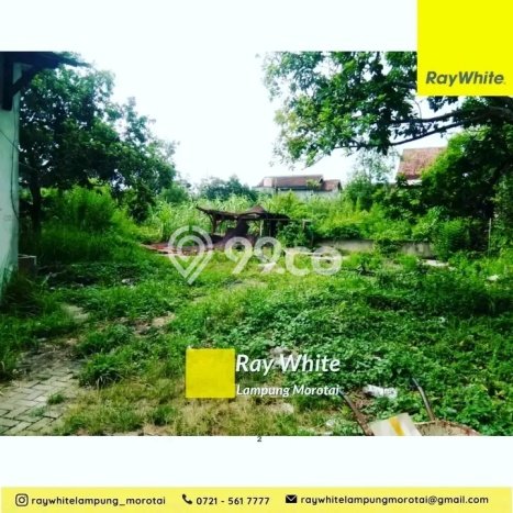 Tanah Dijual Lokasi Tanjung Karang Timur, Bandar Lampung Luas 2433m2 Legalitas Aman Tanah Dijual Lokasi Tanjung Karang Timur, Bandar Lampung Luas 2433m2 Legalitas Aman