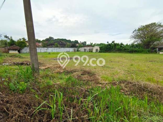 Tanah Kavling untuk Dijual di Natar Lampung Selatan 21915m2 Tanah Kavling untuk Dijual di Natar Lampung Selatan 21915m2