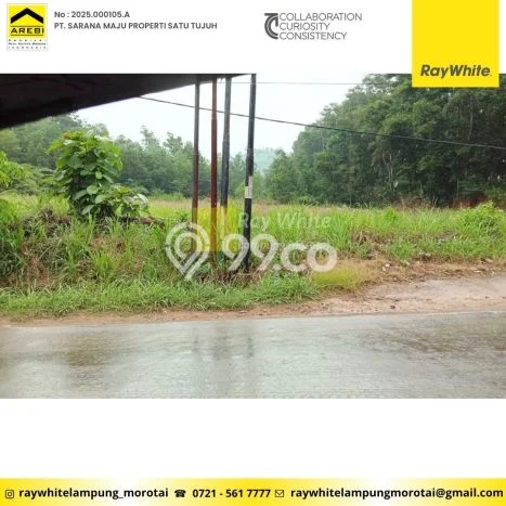 Untuk Dijual Tanah di Sukabumi Bandar Lampung Luas 3493m2 SHM Untuk Dijual Tanah di Sukabumi Bandar Lampung Luas 3493m2 SHM