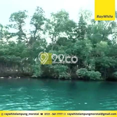 Tanah di Padang Cermin, Luas 26089m2m², Jalur Mudah, Area Berkembang Tanah di Padang Cermin, Luas 26089m2m², Jalur Mudah, Area Berkembang