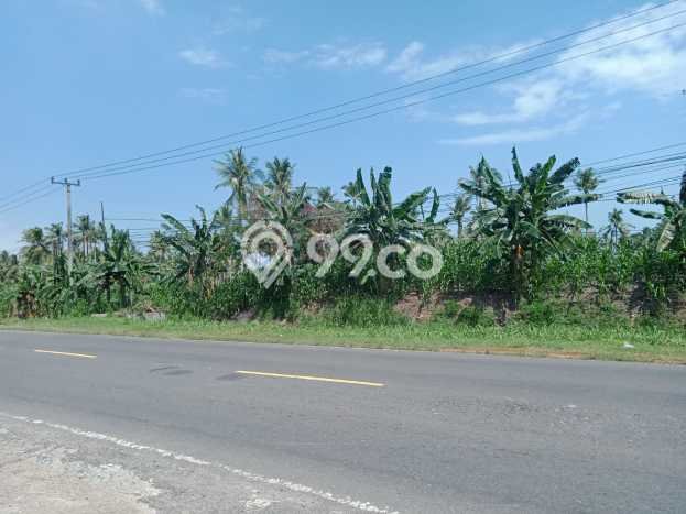 Lahan Kosong Dijual di Kalianda, Lampung Selatan, Luas 31000m2 Area Strategis Lahan Kosong Dijual di Kalianda, Lampung Selatan, Luas 31000m2 Area Strategis