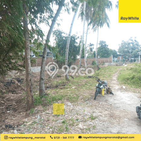 Tanah Kawasan Tanjung Karang Barat, Luas 2705m2m², Akses Tanjung Karang Barat, Bandar Lampung, Bandar Lampung Tanah Kawasan Tanjung Karang Barat, Luas 2705m2m², Akses Tanjung Karang Barat, Bandar Lampung, Bandar Lampung