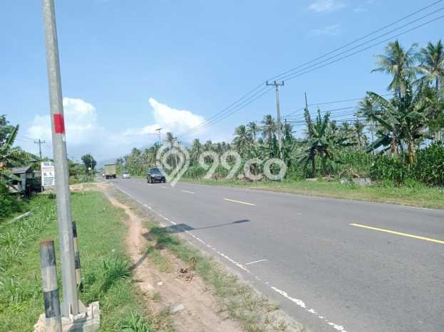 Lahan Kosong Dijual di Kalianda, Lampung Selatan, Luas 31000m2 Area Strategis Lahan Kosong Dijual di Kalianda, Lampung Selatan, Luas 31000m2 Area Strategis