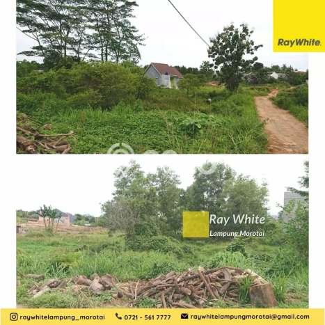 Tanah Premium Kawasan Rajabasa, Luas 20680m2m², Ideal untuk Investasi Tanah Premium Kawasan Rajabasa, Luas 20680m2m², Ideal untuk Investasi