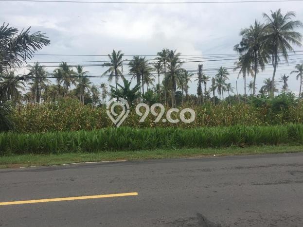 Lahan Kosong Dijual di Kalianda, Lampung Selatan, Luas 30100m2 Area Strategis Lahan Kosong Dijual di Kalianda, Lampung Selatan, Luas 30100m2 Area Strategis