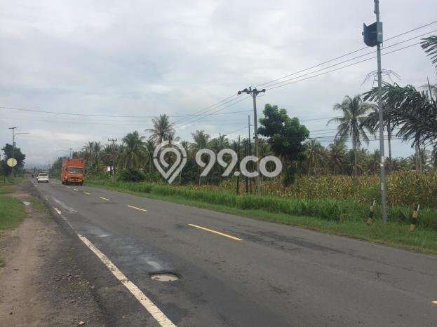 Lahan Kosong Dijual di Kalianda, Lampung Selatan, Luas 30100m2 Area Strategis Lahan Kosong Dijual di Kalianda, Lampung Selatan, Luas 30100m2 Area Strategis