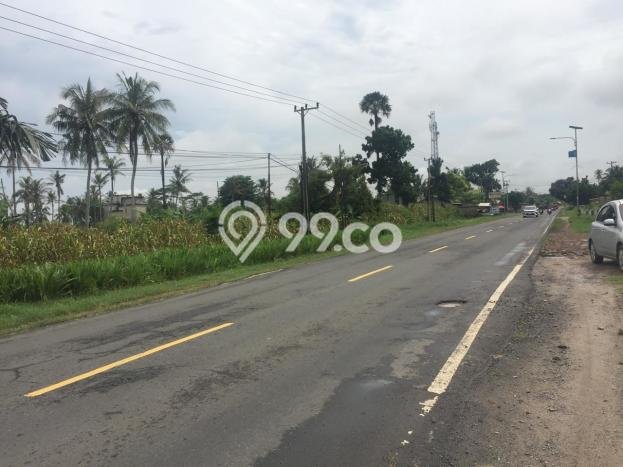 Lahan Investasi Lokasi Kalianda Lampung Selatan SHM Lahan Investasi Lokasi Kalianda Lampung Selatan SHM