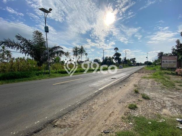 Lahan Investasi Lokasi Kalianda Lampung Selatan SHM Lahan Investasi Lokasi Kalianda Lampung Selatan SHM