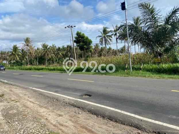 Lahan Investasi Lokasi Kalianda Lampung Selatan SHM Lahan Investasi Lokasi Kalianda Lampung Selatan SHM