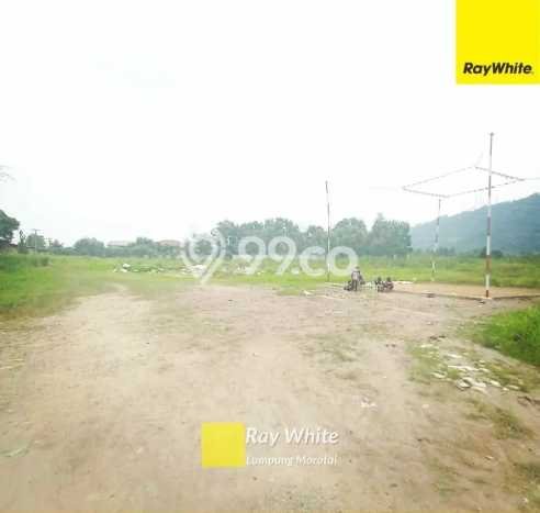 Tanah Kavling di Panjang Dijual dengan Luas 138718m2 Tanah Kavling di Panjang Dijual dengan Luas 138718m2