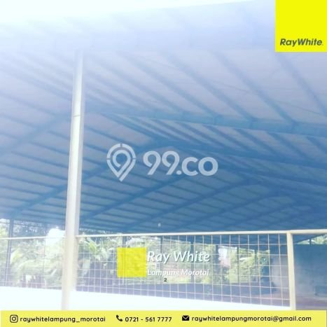 Gudang Disewakan Cepat di Rajabasa Bandar Lampung LB 1000m2 Gudang Disewakan Cepat di Rajabasa Bandar Lampung LB 1000m2