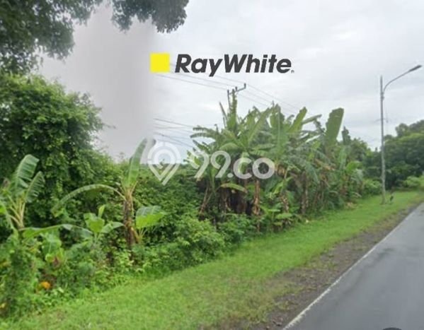 Tanah Kosong Dijual di Lampung Selatan dengan Area 51760m2 Tanah Kosong Dijual di Lampung Selatan dengan Area 51760m2