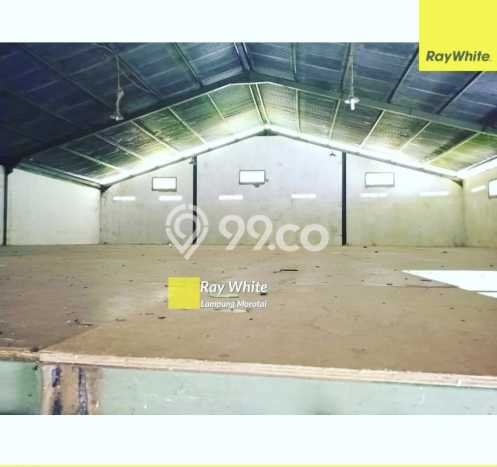 FOR RENT! Pabrik di Pringsewu Cocok untuk Bisnis 300m2 FOR RENT! Pabrik di Pringsewu Cocok untuk Bisnis 300m2