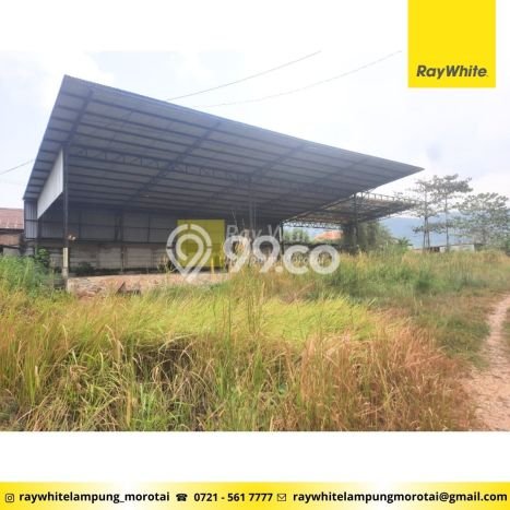 Jarang Ada! Tanah di Panjang Punya Luas 7184m2 - Jarang Ada! Tanah di Panjang Punya Luas 7184m2 -