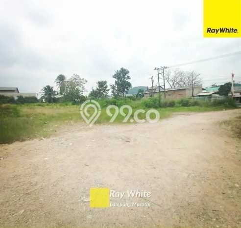 Tanah Kavling di Panjang Dijual dengan Luas 138718m2 Tanah Kavling di Panjang Dijual dengan Luas 138718m2