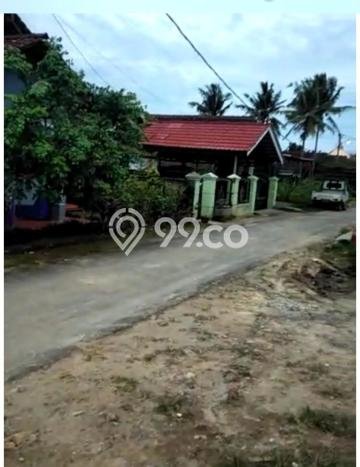 Jual Rumah Harga Miring Tanjung Senang Punya 4 Kamar & LT 225m2 Jual Rumah Harga Miring Tanjung Senang Punya 4 Kamar & LT 225m2