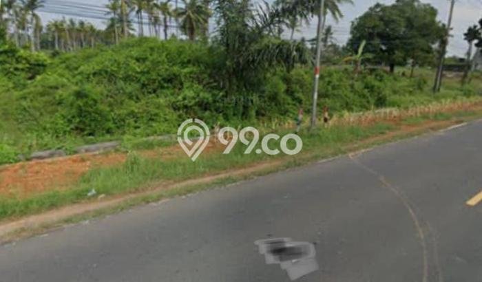 Tanah Dijual Lokasi Kalianda Lampung Selatan HGB Tanah Dijual Lokasi Kalianda Lampung Selatan HGB