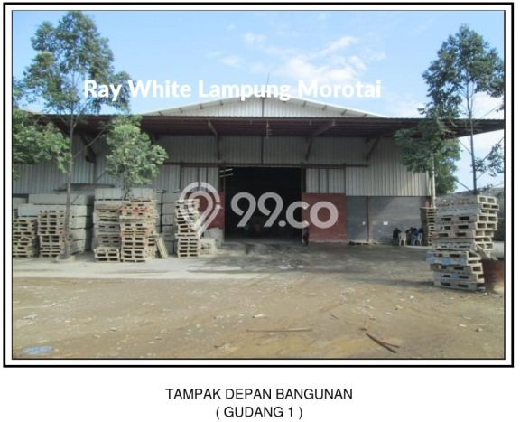 FOR SALE! Pabrik di Natar Lampung Selatan, LT 66500m2, LB 7500m2 FOR SALE! Pabrik di Natar Lampung Selatan, LT 66500m2, LB 7500m2