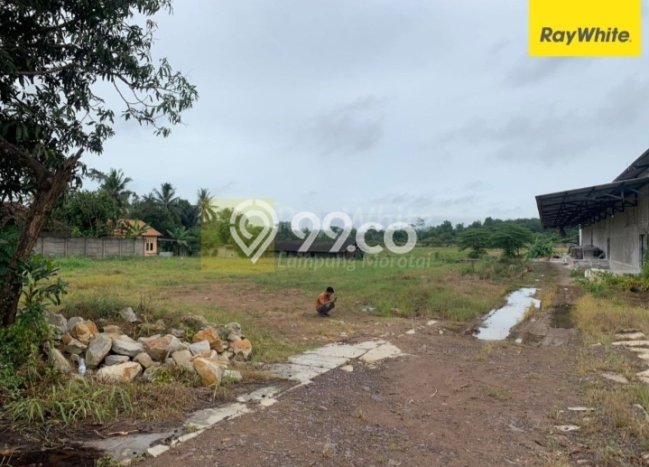 Pabrik Dijual Lokasi Emas di Tanjung Bintang Luas 2000m2 Pabrik Dijual Lokasi Emas di Tanjung Bintang Luas 2000m2