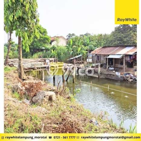 Tanah Dijual Lokasi Jati Agung, Lampung Selatan dengan Luas Tanah 46875m2 dan Status SHM Tanah Dijual Lokasi Jati Agung, Lampung Selatan dengan Luas Tanah 46875m2 dan Status SHM