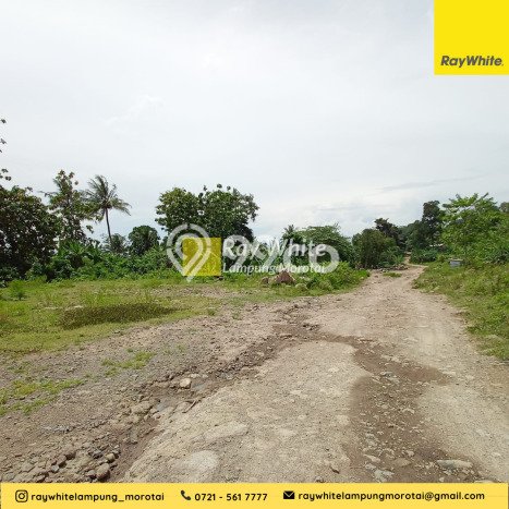 Kavling Tanah Dijual di Kalianda Lampung Selatan Spesifikasi 470000m2 Kavling Tanah Dijual di Kalianda Lampung Selatan Spesifikasi 470000m2