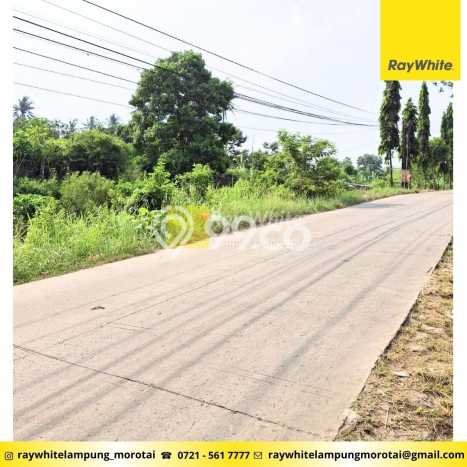 Tanah Dijual Lokasi Jati Agung, Lampung Selatan dengan Luas Tanah 46875m2 dan Status SHM Tanah Dijual Lokasi Jati Agung, Lampung Selatan dengan Luas Tanah 46875m2 dan Status SHM