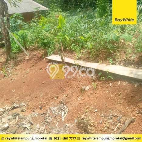 Tanah Dijual Lokasi Tanjung Karang Barat, Bandar Lampung dengan Luas Tanah 1199m2 dan Status SHM Tanah Dijual Lokasi Tanjung Karang Barat, Bandar Lampung dengan Luas Tanah 1199m2 dan Status SHM