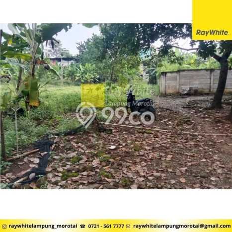 Lahan Dijual Lokasi Rajabasa, Bandar Lampung dengan Luas Tanah 6279m2 dan Status SHM Lahan Dijual Lokasi Rajabasa, Bandar Lampung dengan Luas Tanah 6279m2 dan Status SHM