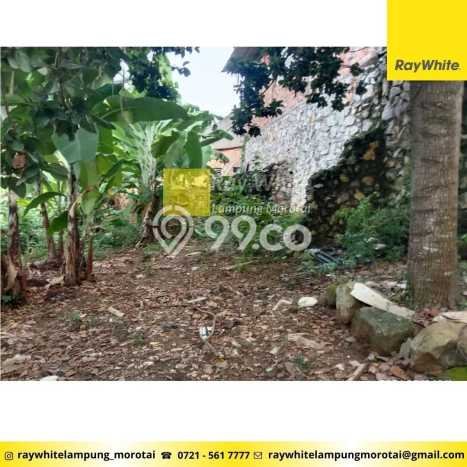 Lahan Dijual Lokasi Rajabasa, Bandar Lampung dengan Luas Tanah 6279m2 dan Status SHM Lahan Dijual Lokasi Rajabasa, Bandar Lampung dengan Luas Tanah 6279m2 dan Status SHM