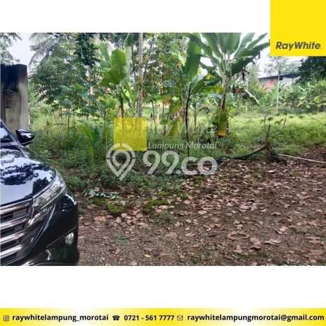 Lahan Dijual Lokasi Rajabasa, Bandar Lampung dengan Luas Tanah 6279m2 dan Status SHM Lahan Dijual Lokasi Rajabasa, Bandar Lampung dengan Luas Tanah 6279m2 dan Status SHM